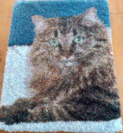 cat rug